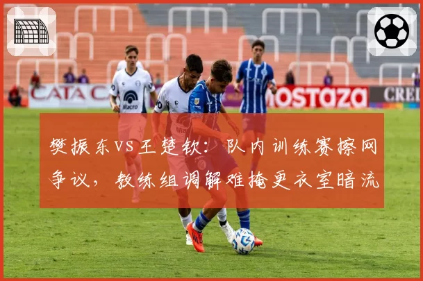 樊振东vs王楚钦:队内训练赛擦网争议,教练组调解难掩更衣室暗流